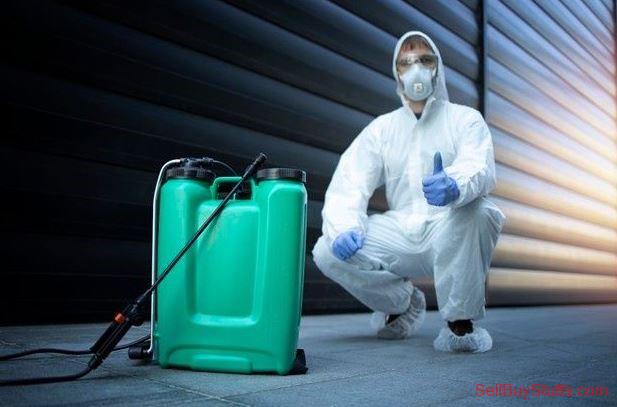 Indore Pest Exterminator