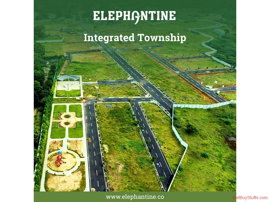 Chennai Elephantine