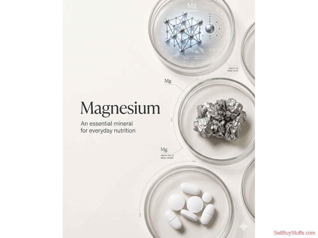 NOIDA Complete Guide to Magnesium Supplements