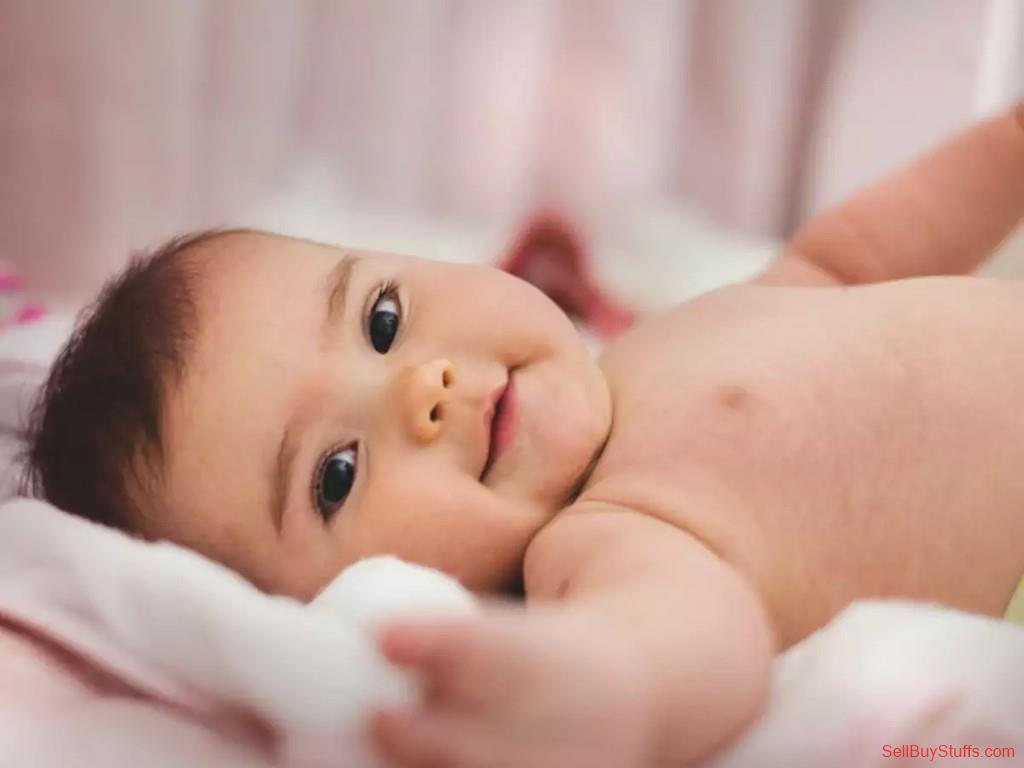 Surrogacy Cost in Chandan Nagar