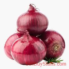 Delhi Red onion suppliers in Mumbai