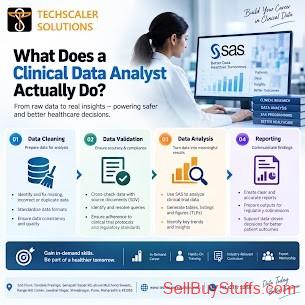 Australia Classifieds Top Data Science Course in Pune | Best Training at Techscaler Solutions 