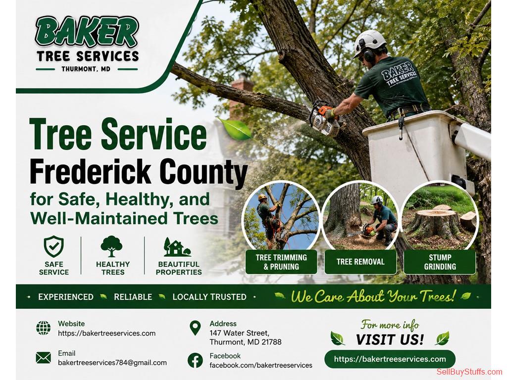 Lingsugur Tree Service Frederick County for Routine Tree Maintenance
