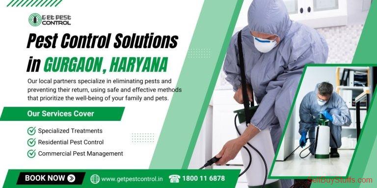 Delhi Pest Control Gurgaon – Best Services, Prices, and Free Inspection