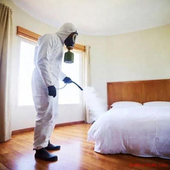Delhi Bed Bug Treatment