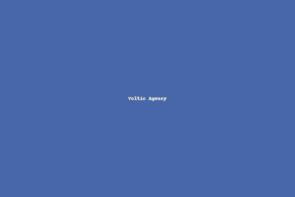 Ludhiana Voltic Agency - Digital Marketing Services