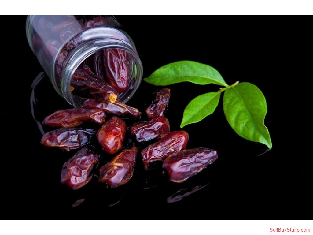 Mumbai Mahalaxmi Trade India | Trusted Global Supplier of Authentic Indian Products
