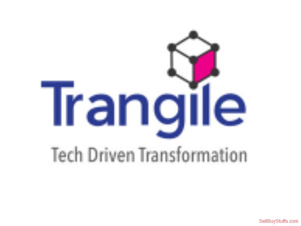 NOIDA Oracle ERP Implementation Services