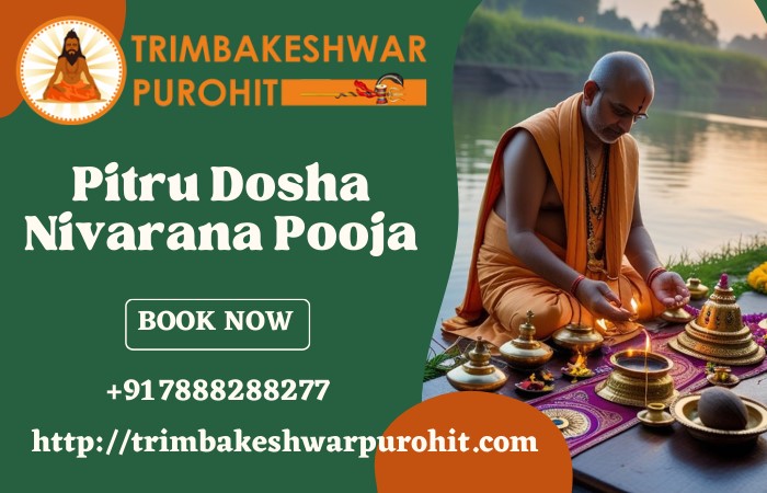 Nashik Pitru Dosha Nivarana Pooja In Trimbakeshwar | Trimbakeshwar Purohit