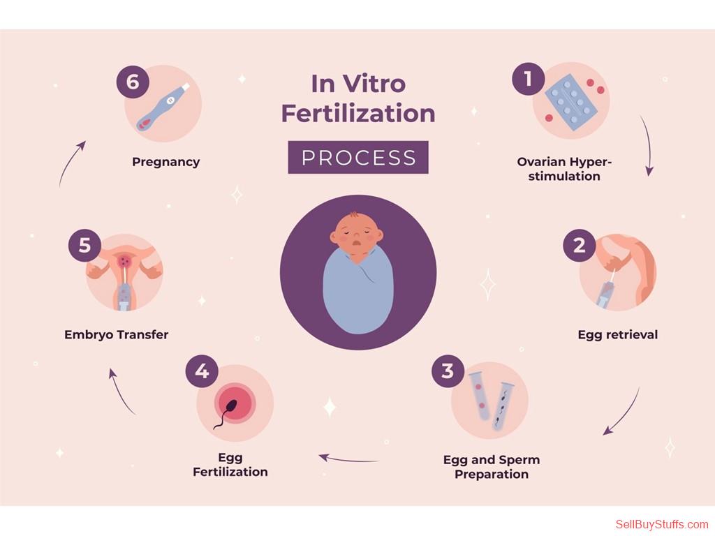Chennai Fertility and IVF Hospital in OMR, Chennai | Cloudnine Fertility