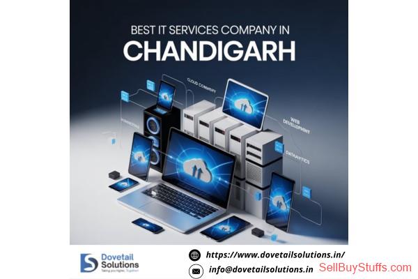 Zirakpur Professional Web Development & SEO Services – Dovetail Solutions