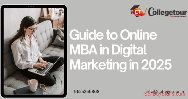 Delhi  Guide to Online MBA in Digital Marketing in 2025