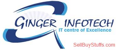 Chennai best website company in nanganallur 