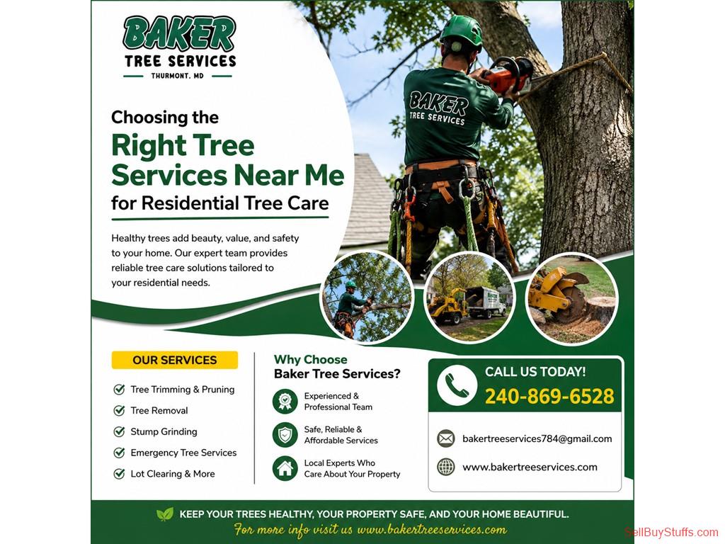 Mahuli Professional Tree Service Frederick County for Trimming, Pruning, and Removal