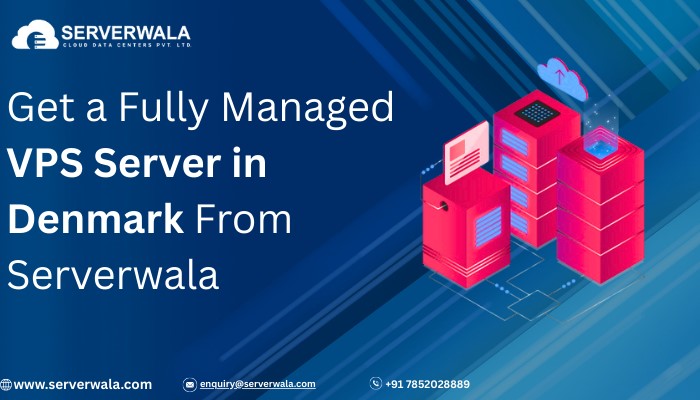Jaipur Get a Fully Managed VPS Server in Denmark From Serverwala
