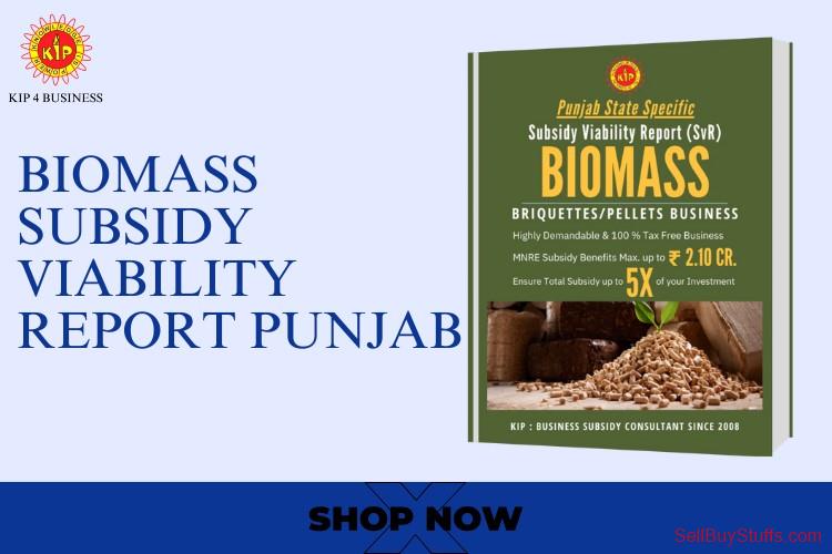 Hisar Green Fuel & Subsidy: Biomass Briquettes Viability in Punjab