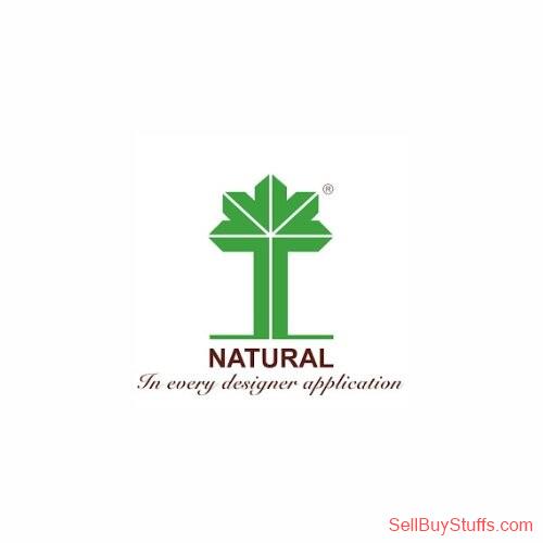 Mumbai  Turakhia Overseas Pvt. Ltd. (Natural Veneers)