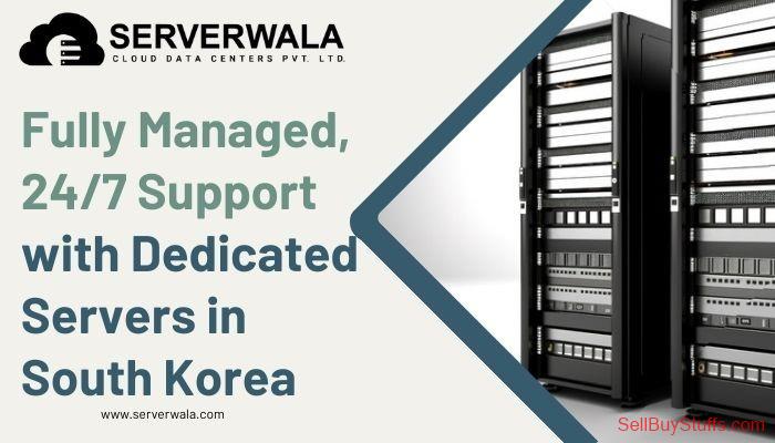 Jaipur Fully Managed, 24/7 Support with Dedicated Servers in South Korea