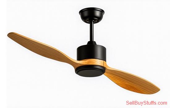 Mumbai High-Quality Aesthetic Designer Fan by Wadbros – For Sale