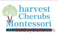 Bangalore cherubsmontessori