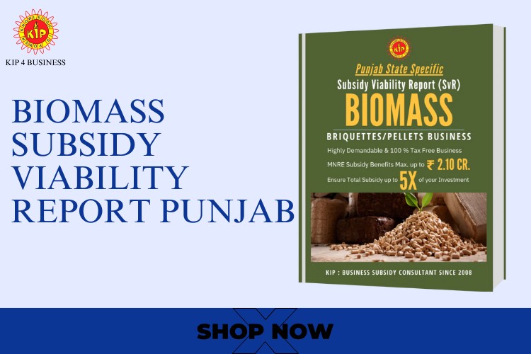 Hisar Green Fuel & Subsidy: Biomass Briquettes Viability in Punjab