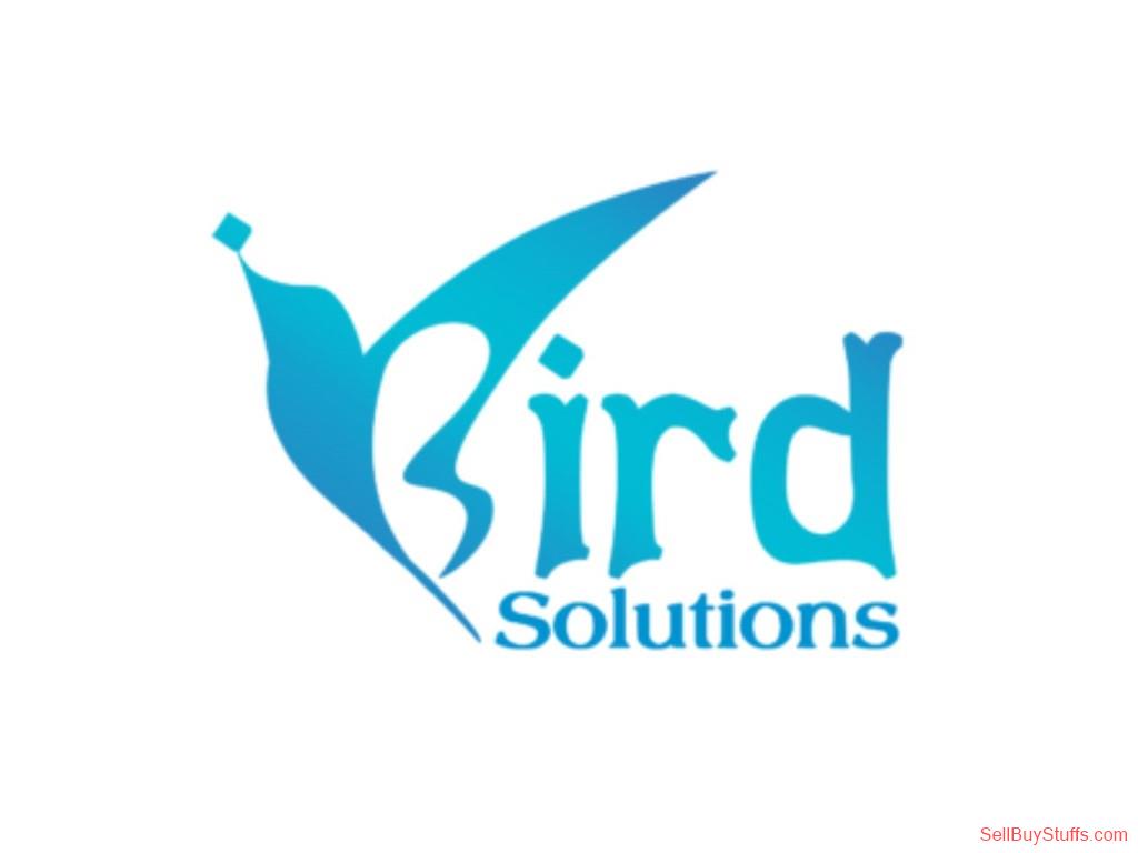 iBird Solutions – Ahmedabad’s Top Digital Marketing & Web Agency iBird Solutions – Ahmedabad’s Top Digital Marketing & Web Agency