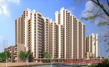 NOIDA Top Property Consultants and Real Estate Services in Noida