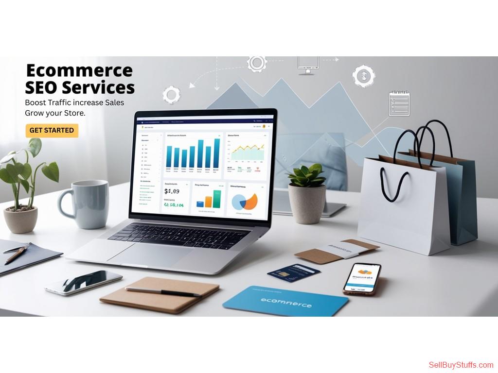 Delhi Ecommerce Seo Service India