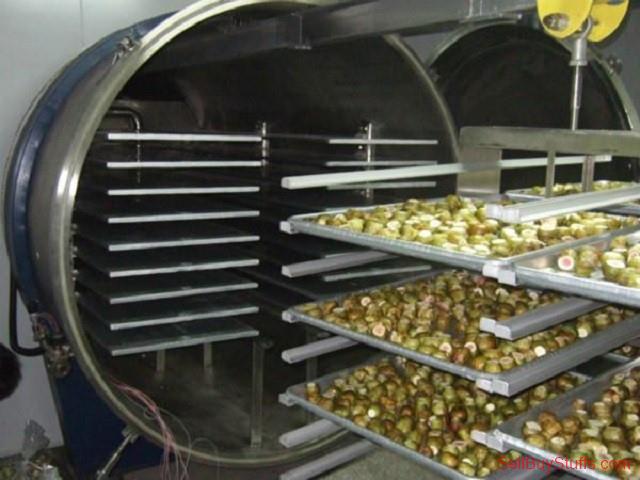 Bangalore Leading Freeze Dryers Manufacturer & Supplier by Kerone