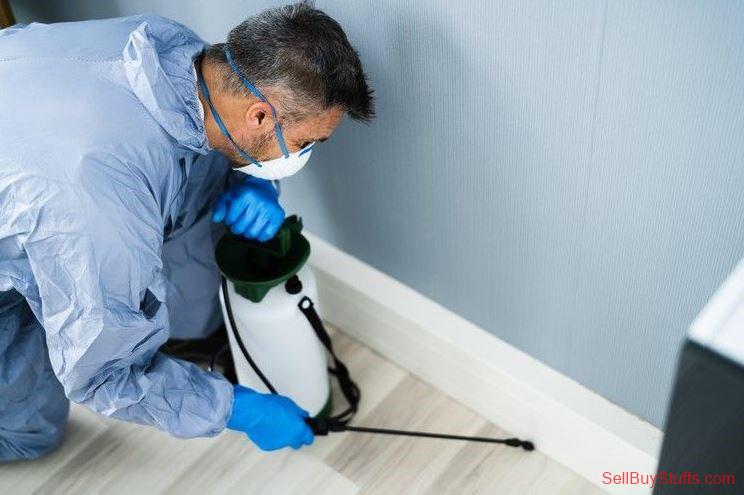Australia Classifieds Bug Service