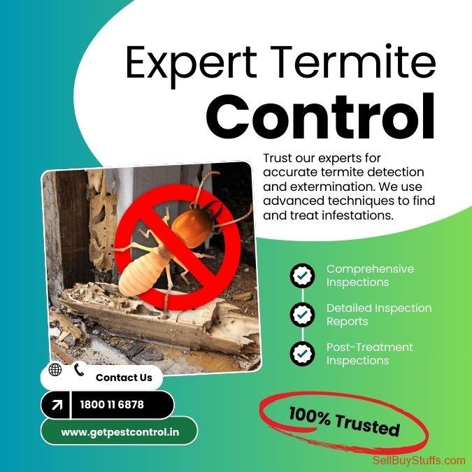 Delhi Effective Termite Treatment Services in Delhi at Best Rates