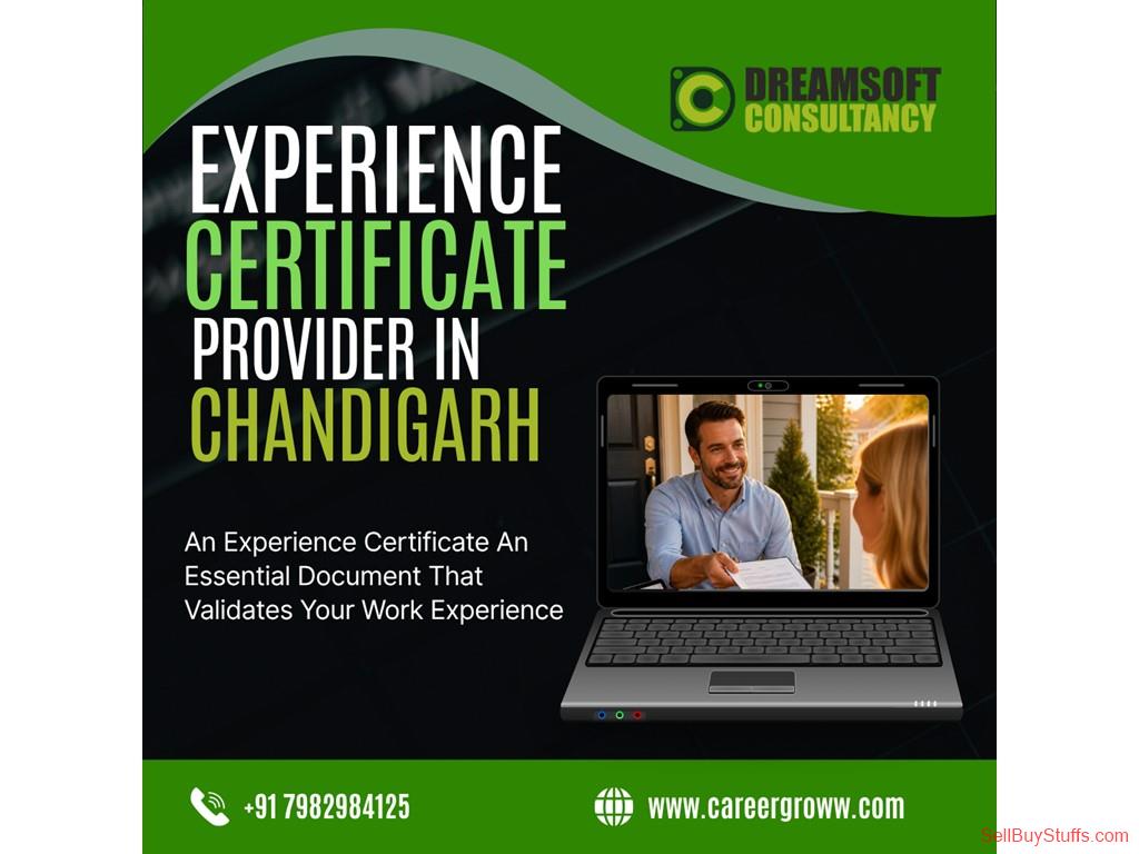 Chandigarh  Genuine Experience Certificate Provider in Chandigarh