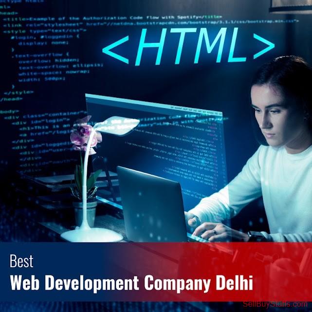 Delhi Web Development Company Delhi