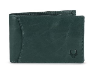 Mumbai WildHorn Men Teal Blue Solid RFID Protected Leather Two Fold Wallet