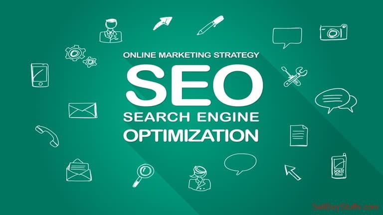 International Seo Packages International Seo Packages