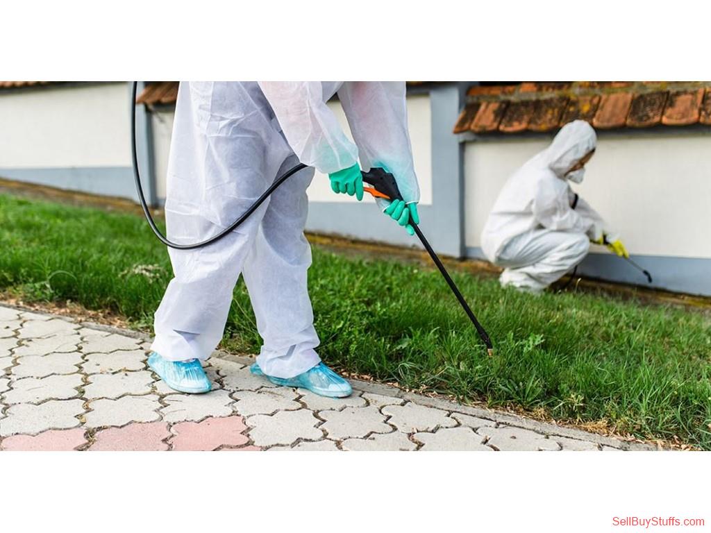 Indore Pesticide Control