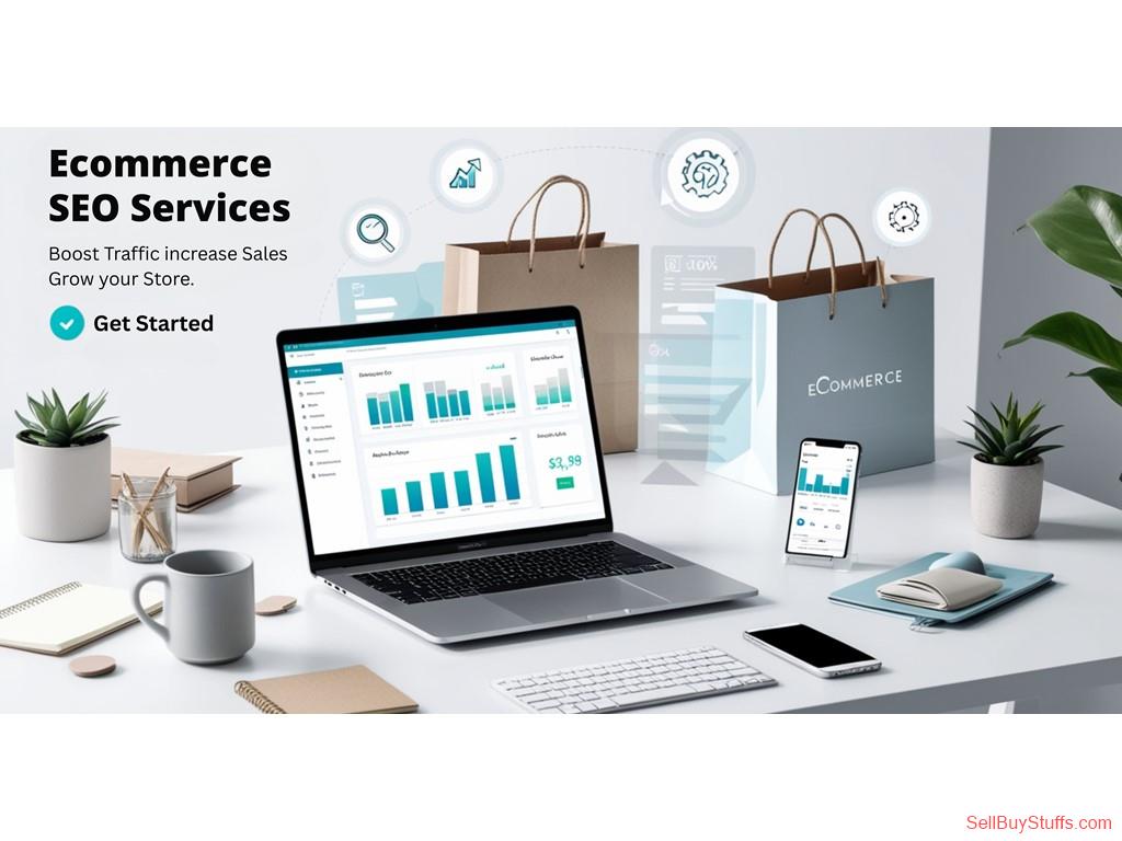 Delhi Ecommerce Seo Services India