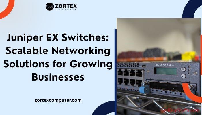 Mumbai Juniper EX Switches: Scalable Networking Solutions for Growing Businesses