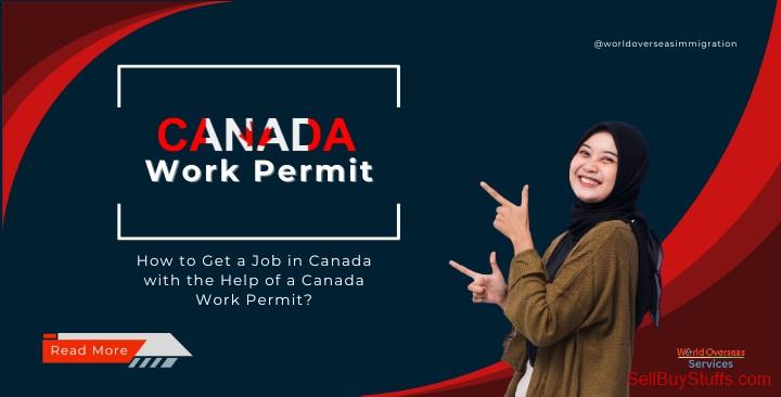 Delhi canada startup visa
