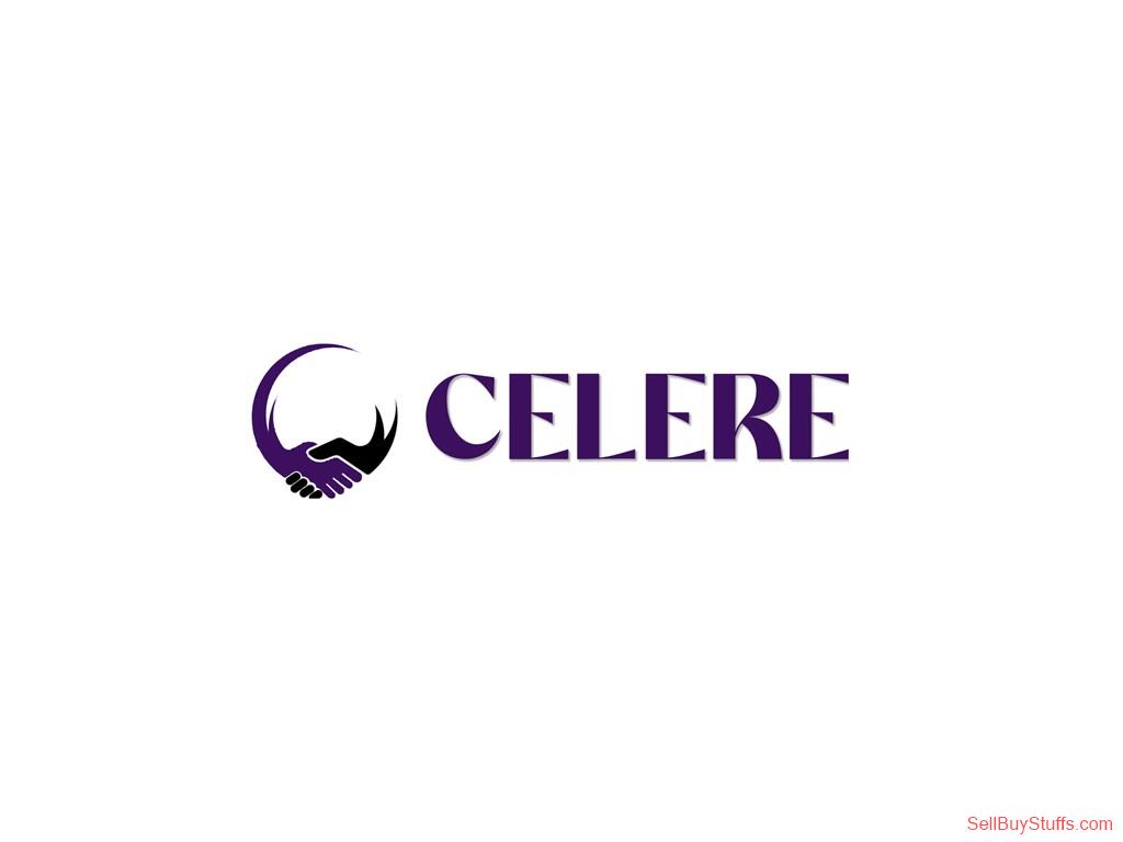 NOIDA Celere Services | Best Digital Marketing Company in India  