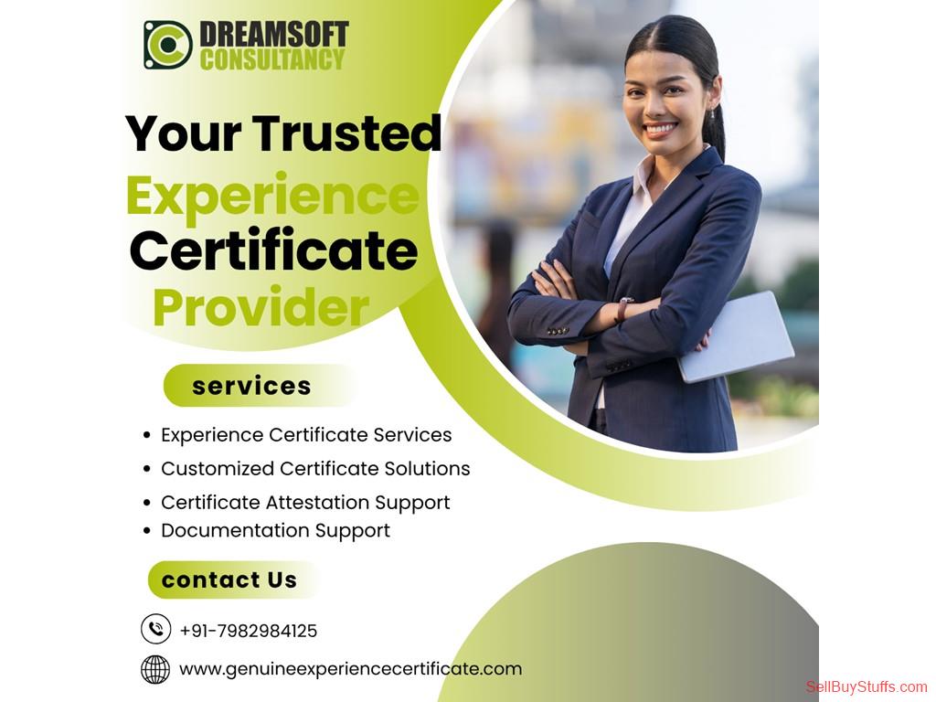 Pune Genuine Experience Certificate Provider in Pune for Employees
