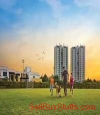 Shapoorji Pallonji dualis Sector 46 Gurgaon, project developing 
