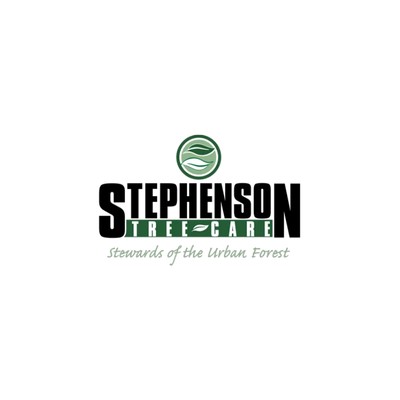 Australia Classifieds Certified Tree Specialists Near Me for Professional Tree Maintenance Services