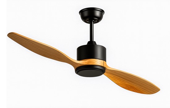 Mumbai High-Quality Aesthetic Designer Fan by Wadbros – For Sale