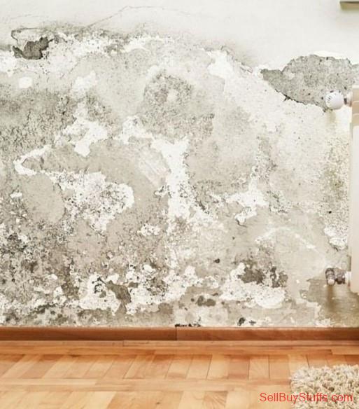 Australia Classifieds Wall Seepage Treatment