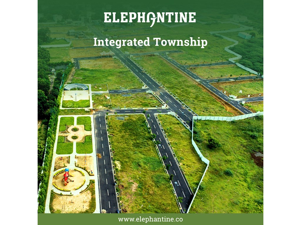 Chennai Elephantine