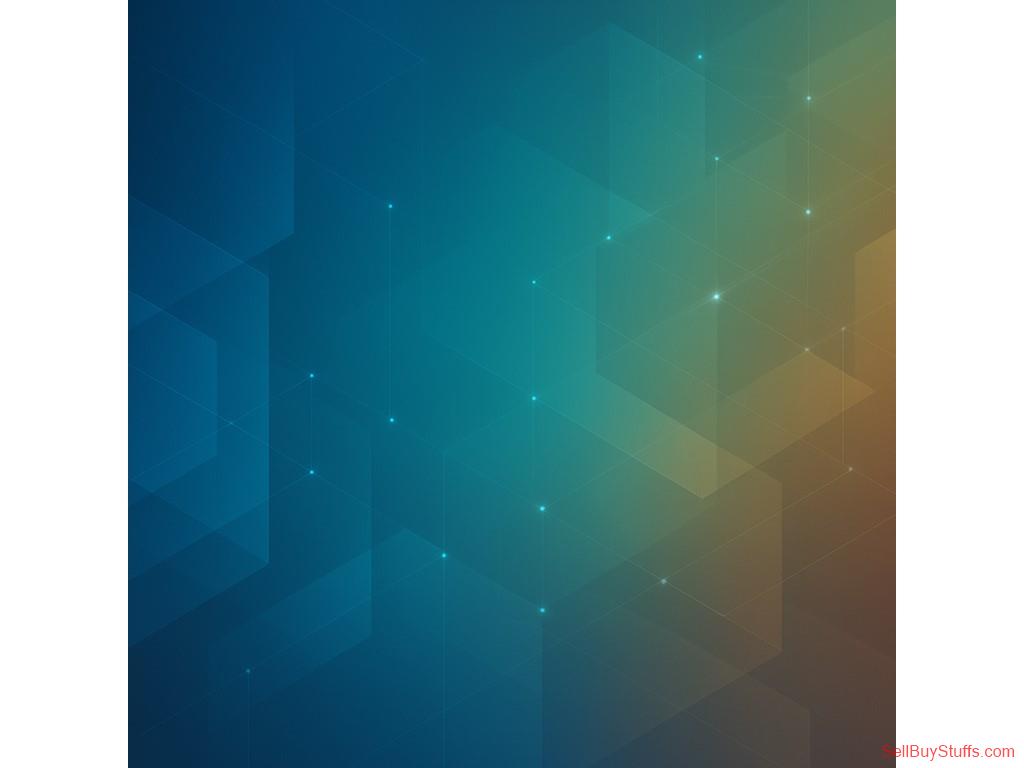 Asola Chameleon Ideas – Best Digital Agency in Canada