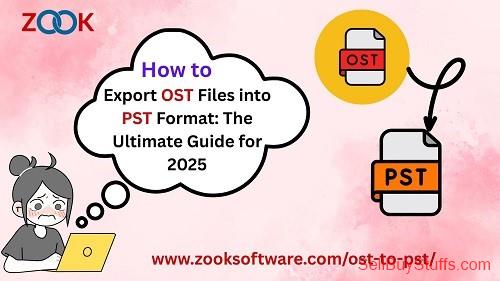 Delhi How to Export OST Files into PST Format?
