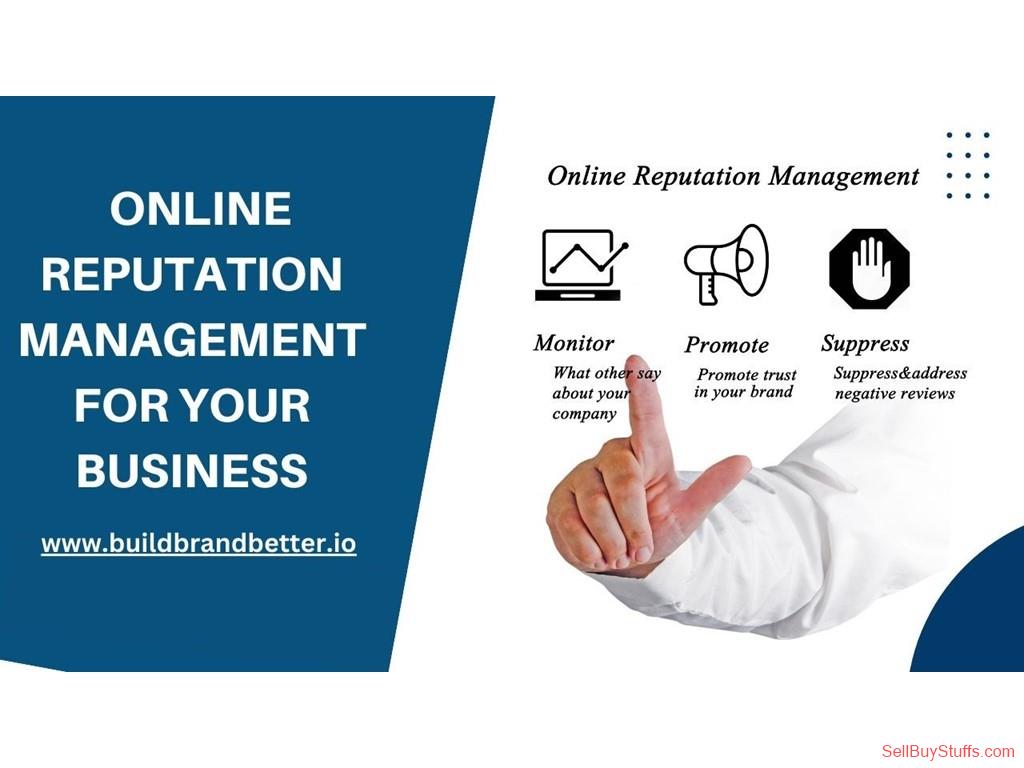 Delhi Best Online Reputation Management Companies in India