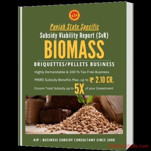 Hisar Buy Biomass Subsidy Viability Report Punjab Online
